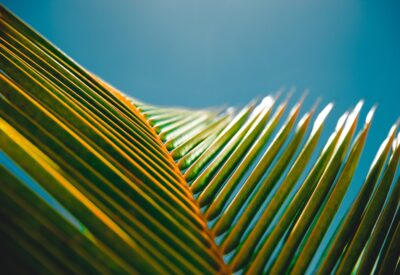 Photo Tropical paradise